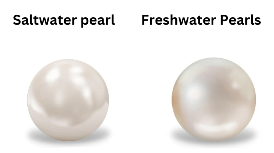 freshwater and saltwater pearls